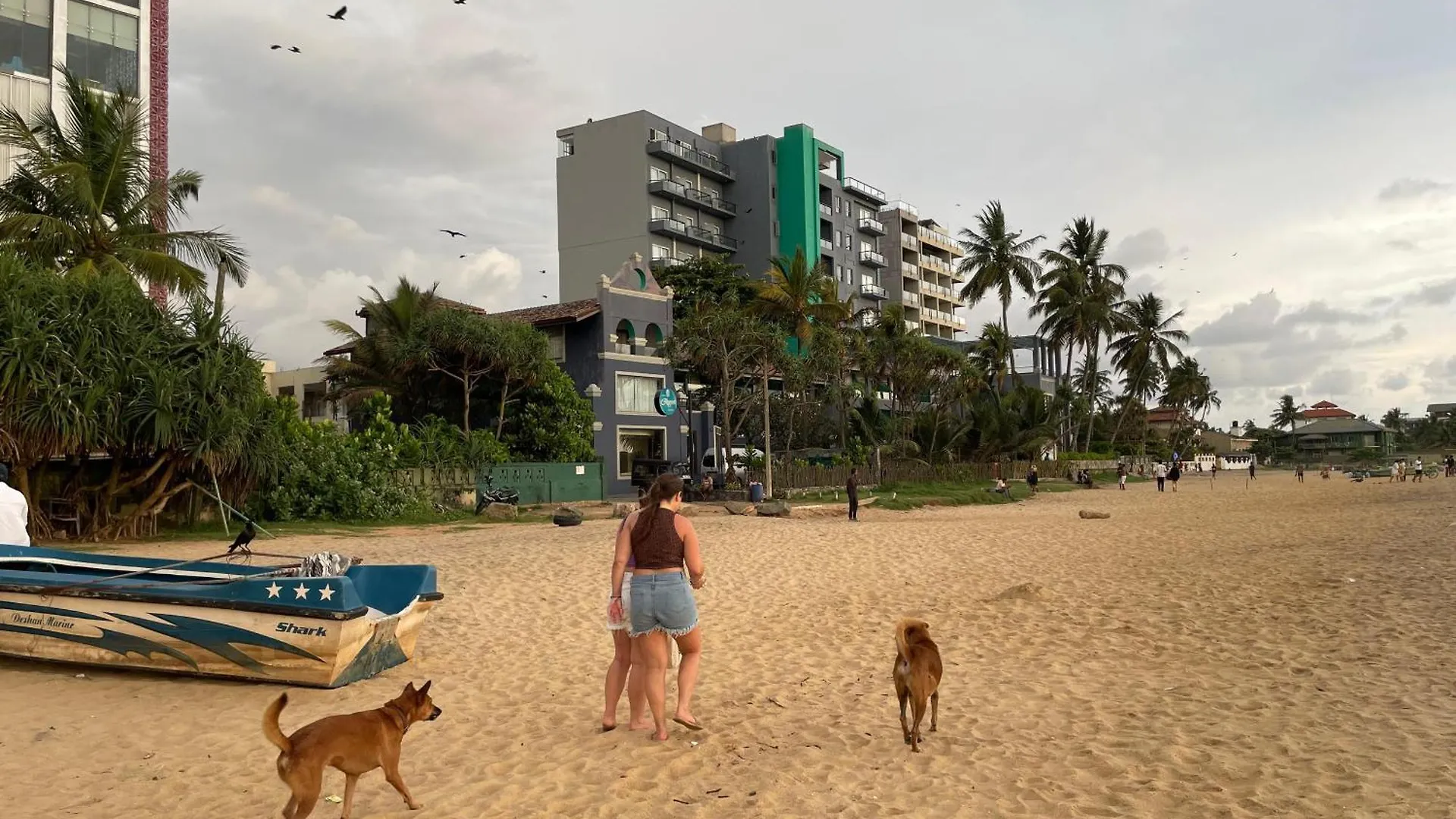 Bed & Breakfast Blissfam Villa & Hostel Negombo Šrí Lanka